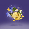 Load image into Gallery viewer, ACCENTO XERJOFF - Parfumerie du Soleil d'Or