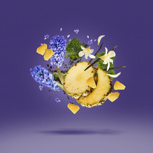 ACCENTO XERJOFF - Parfumerie du Soleil d'Or