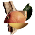 Load image into Gallery viewer, AKIGALA MANDARINO NEW NOTES - Parfumerie du Soleil d'Or
