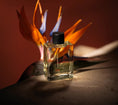 Load image into Gallery viewer, Alba PROFUMUM ROMA - Soleil d'Or