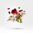 Load image into Gallery viewer, ASTARAL XERJOFF - Parfumerie du Soleil d'Or