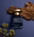 Load image into Gallery viewer, Black Oregano Extrait