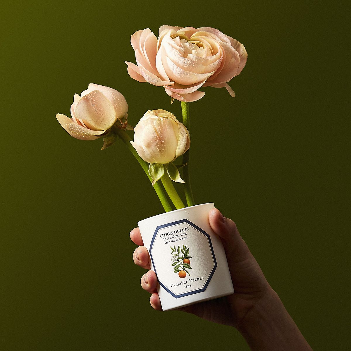 Bougie Fleur d'oranger CARRIÈRE FRÈRES - Parfumerie du Soleil d'Or