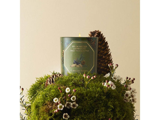 Bougie Pin de Sibérie et Bois Fumé CARRIÈRE FRÈRES - Parfumerie du Soleil d'Or