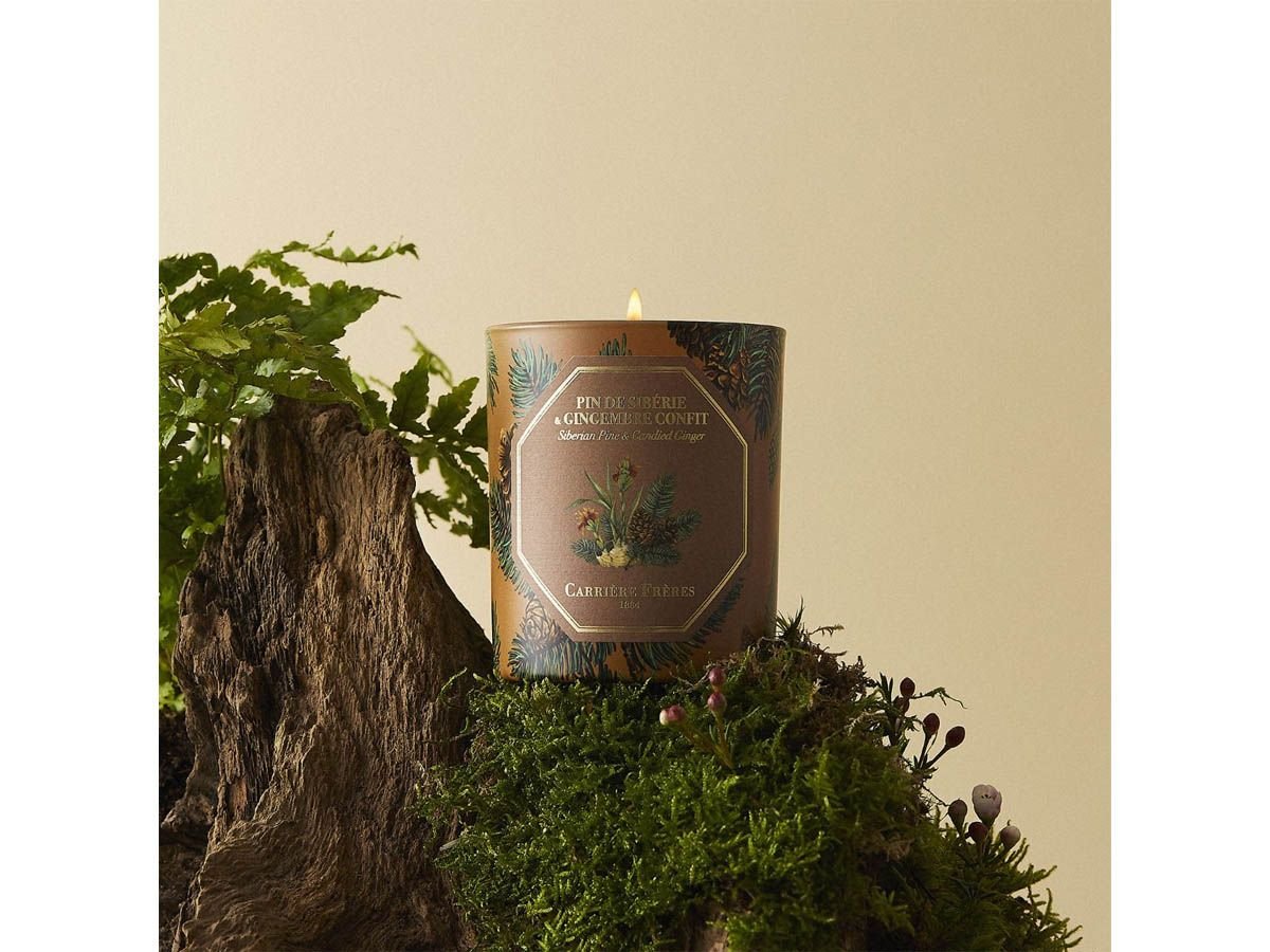 Bougie Pin de Sibérie et Gingembre confit CARRIÈRE FRÈRES - Parfumerie du Soleil d'Or