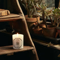 Charger l'image dans la visionneuse de la galerie, Bougie Tiaré CARRIÈRE FRÈRES - Parfumerie du Soleil d'Or