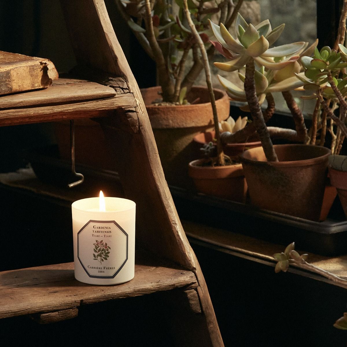 Bougie Tiaré CARRIÈRE FRÈRES - Parfumerie du Soleil d'Or
