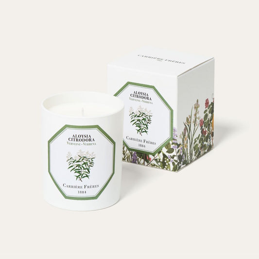 Bougie Verveine CARRIÈRE FRÈRES - Parfumerie du Soleil d'Or