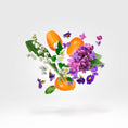 Load image into Gallery viewer, DAMA BIANCA CASAMORATI - Parfumerie du Soleil d'Or