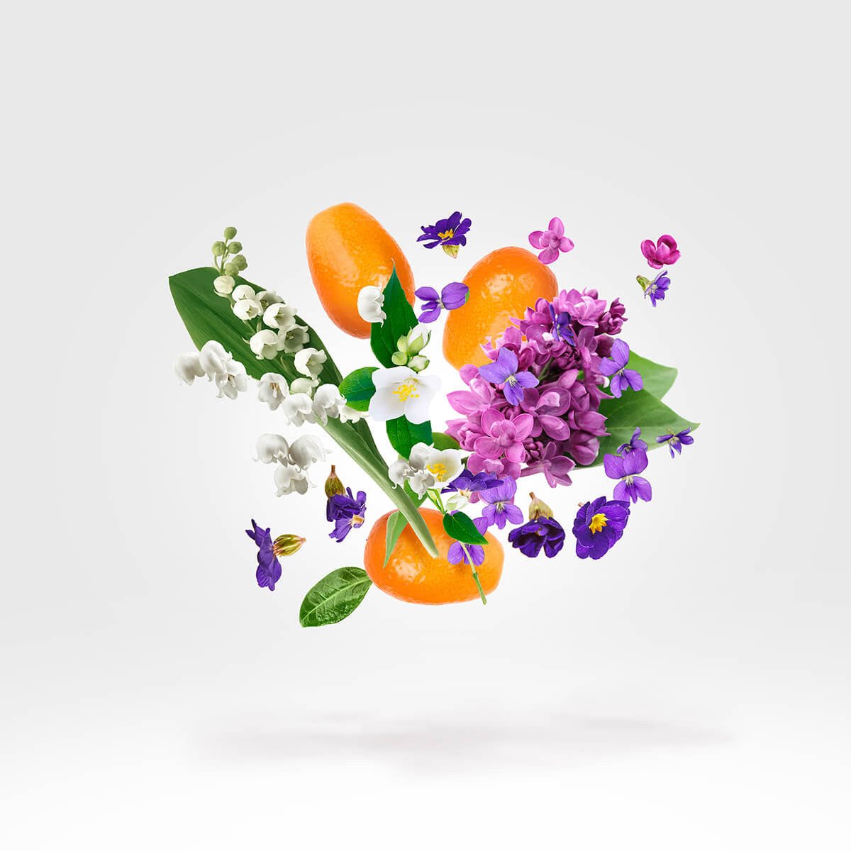 DAMA BIANCA CASAMORATI - Parfumerie du Soleil d'Or