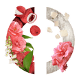 Load image into Gallery viewer, Délire De Roses CARON - Parfumerie du Soleil d'Or