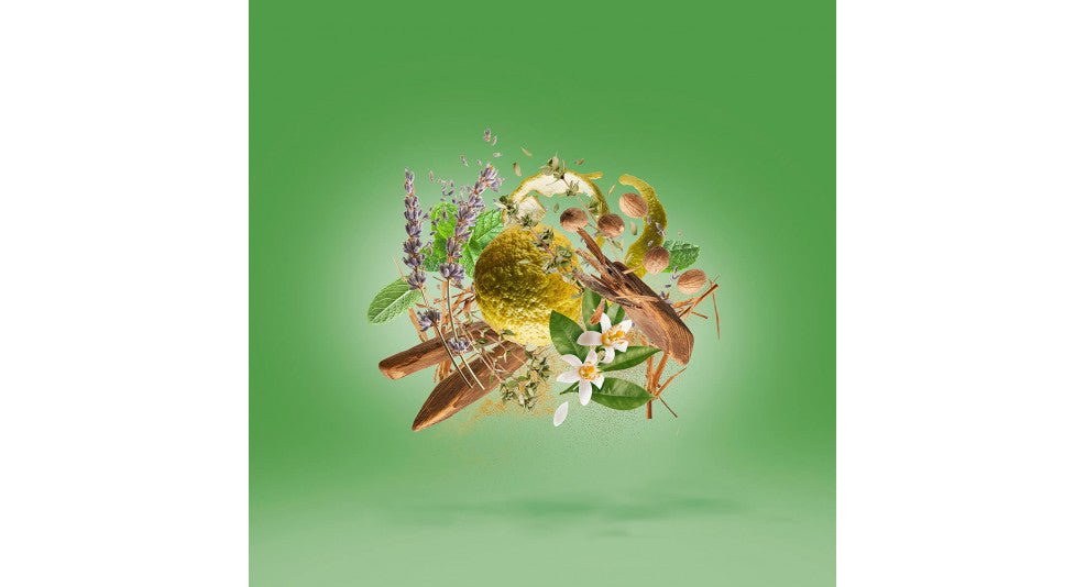 FIERO CASAMORATI - Parfumerie du Soleil d'Or