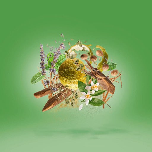 FIERO CASAMORATI - Parfumerie du Soleil d'Or