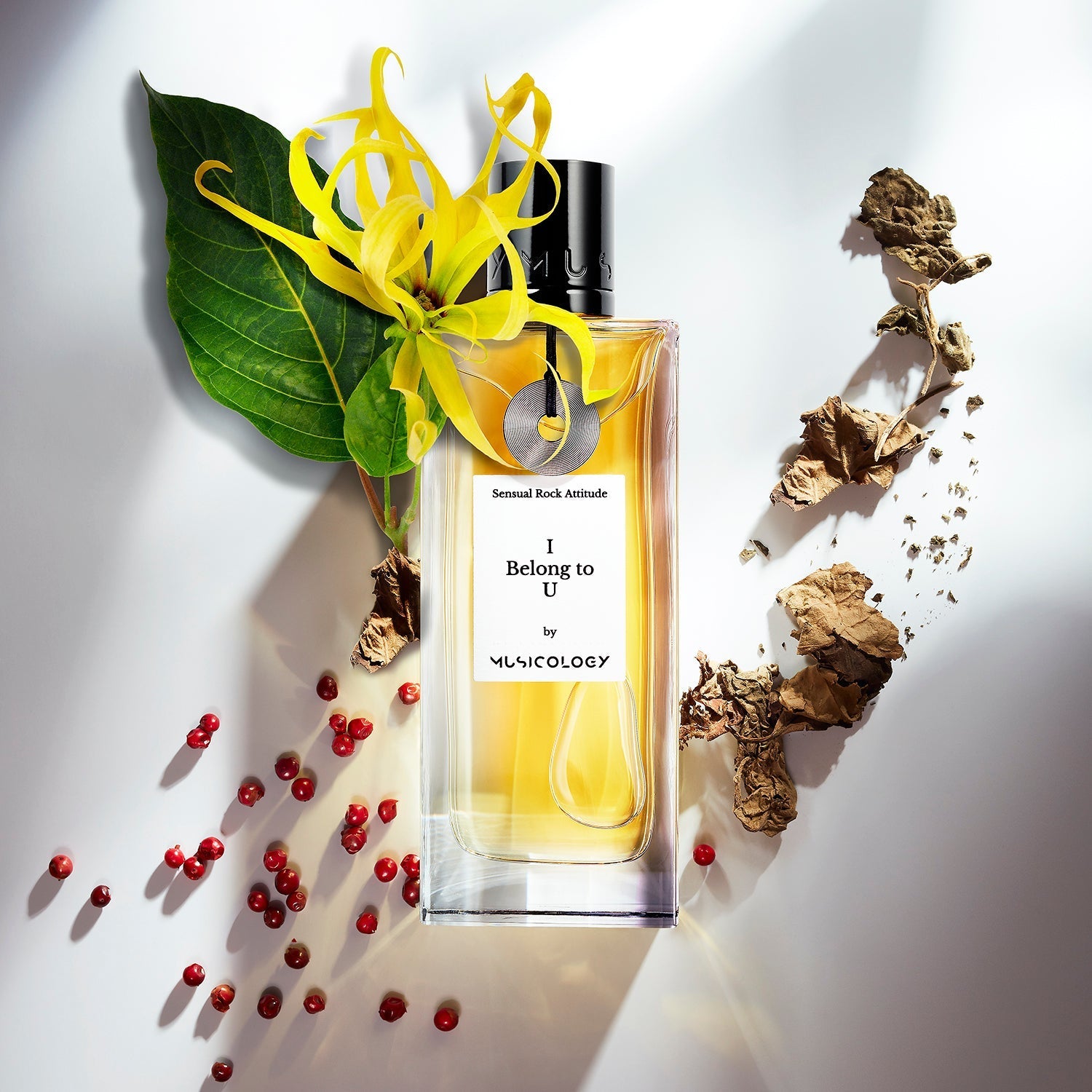 I Belong To U MUSICOLOGY - Parfumerie du Soleil d'Or