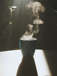 Load image into Gallery viewer, Infuse AKRO - Parfumerie du Soleil d'Or