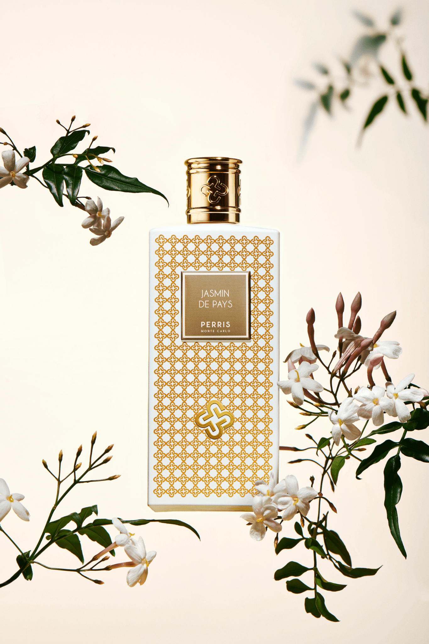 Jasmin de Pays PERRIS MONTE CARLO - Parfumerie du Soleil d'Or