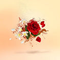 Load image into Gallery viewer, LA CAPITALE XERJOFF - Parfumerie du Soleil d'Or