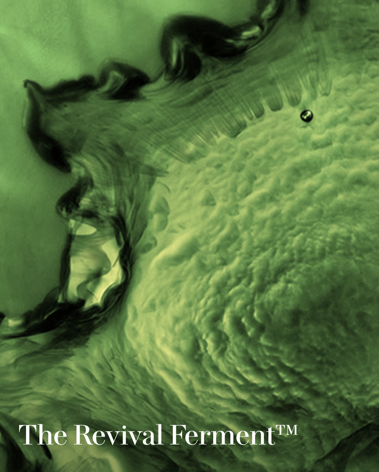 La Lotion Pré - Soin - The Treatment Lotion LA MER - Parfumerie du Soleil d'Or