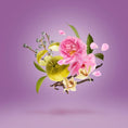 Load image into Gallery viewer, LA TOSCA CASAMORATI - Parfumerie du Soleil d'Or
