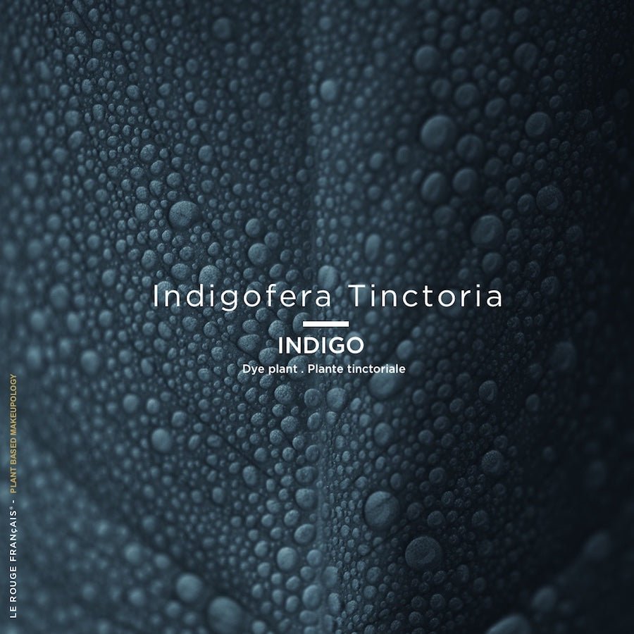 Le Bleu Orion LE ROUGE FRANÇAIS - Parfumerie du Soleil d'Or