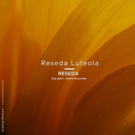 Le Nude Arzica LE ROUGE FRANÇAIS - Parfumerie du Soleil d'Or