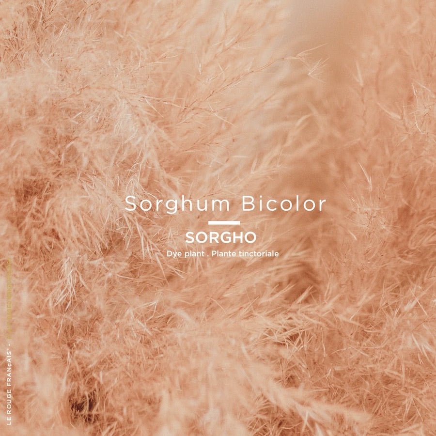 Le Nude Kafir LE ROUGE FRANÇAIS - Parfumerie du Soleil d'Or