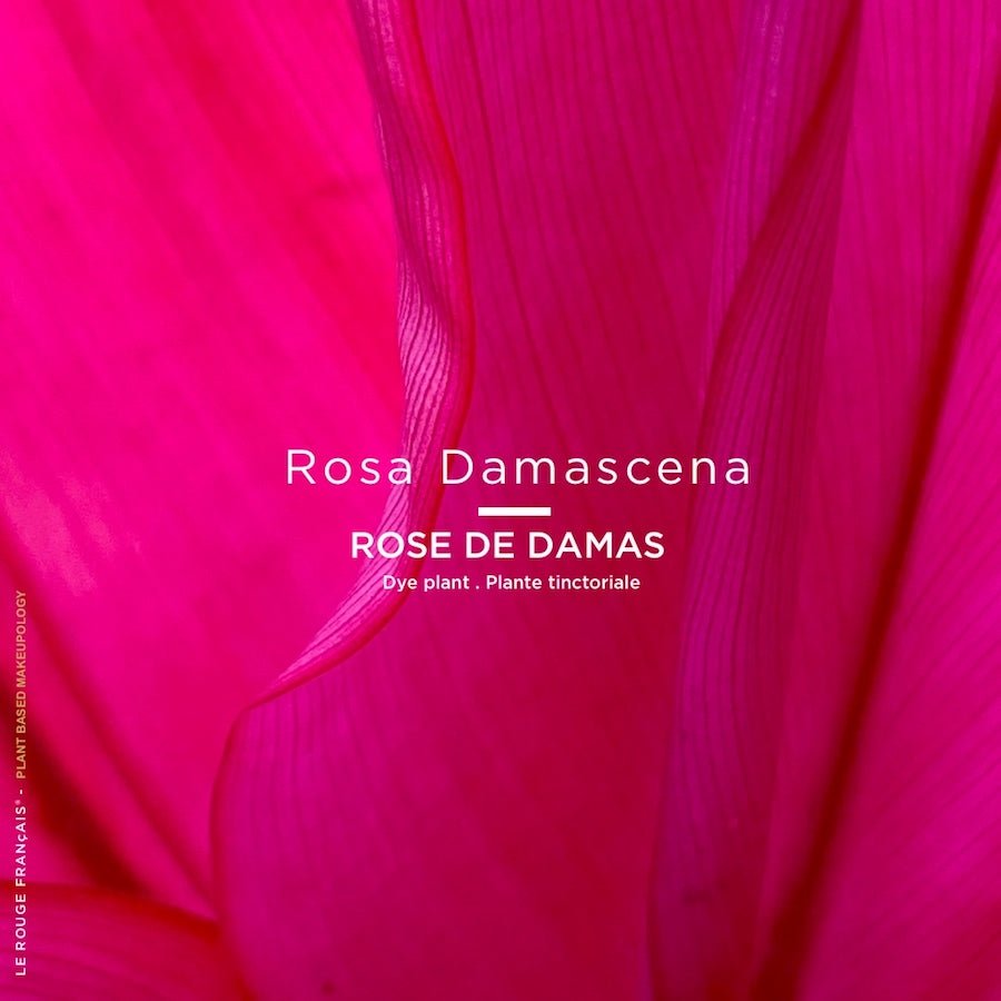 Le Nude Neïtsabes LE ROUGE FRANÇAIS - Parfumerie du Soleil d'Or