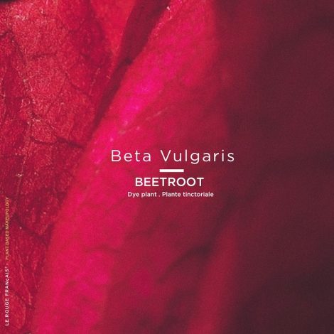 Le Rose Amarandy LE ROUGE FRANÇAIS - Parfumerie du Soleil d'Or