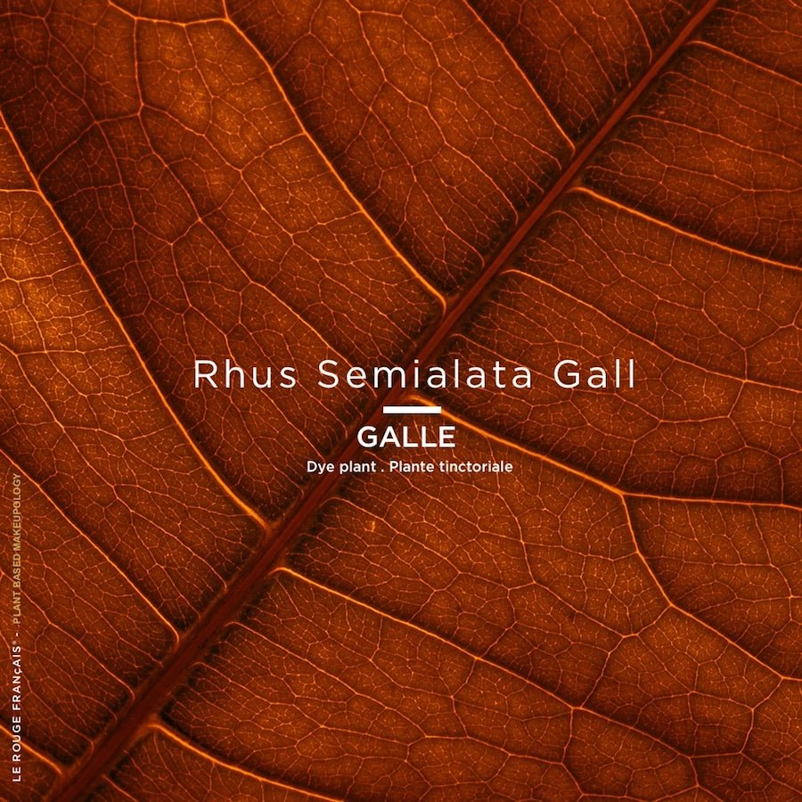 Le Rose Licandre LE ROUGE FRANÇAIS - Parfumerie du Soleil d'Or