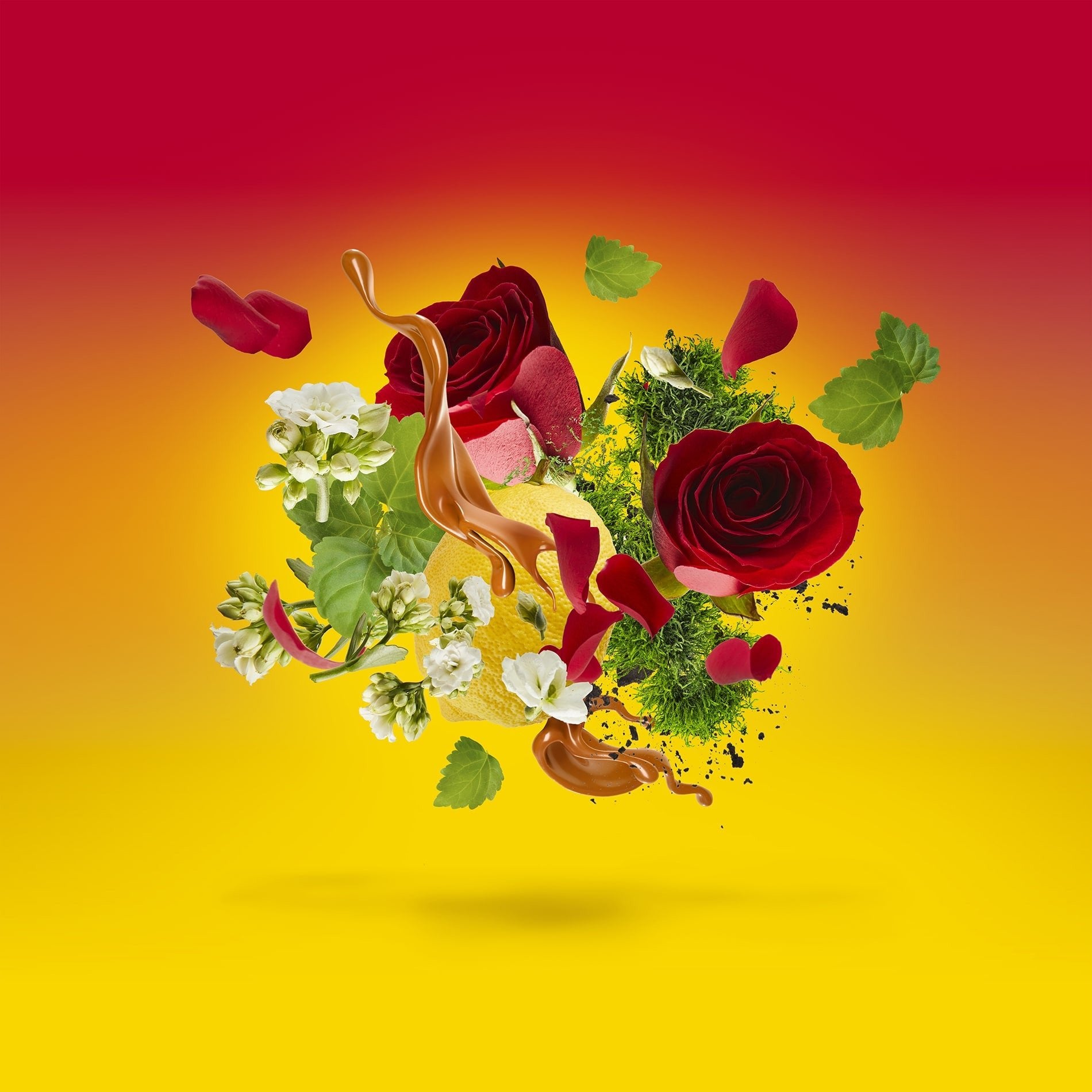 LEVAR DEL SOLE CASAMORATI - Parfumerie du Soleil d'Or