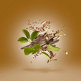 Load image into Gallery viewer, LUXOR XERJOFF - Parfumerie du Soleil d'Or