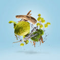 Load image into Gallery viewer, MEFISTO GENTILUOMO CASAMORATI - Parfumerie du Soleil d'Or