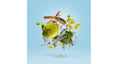 Load image into Gallery viewer, MEFISTO GENTILUOMO CASAMORATI - Parfumerie du Soleil d'Or