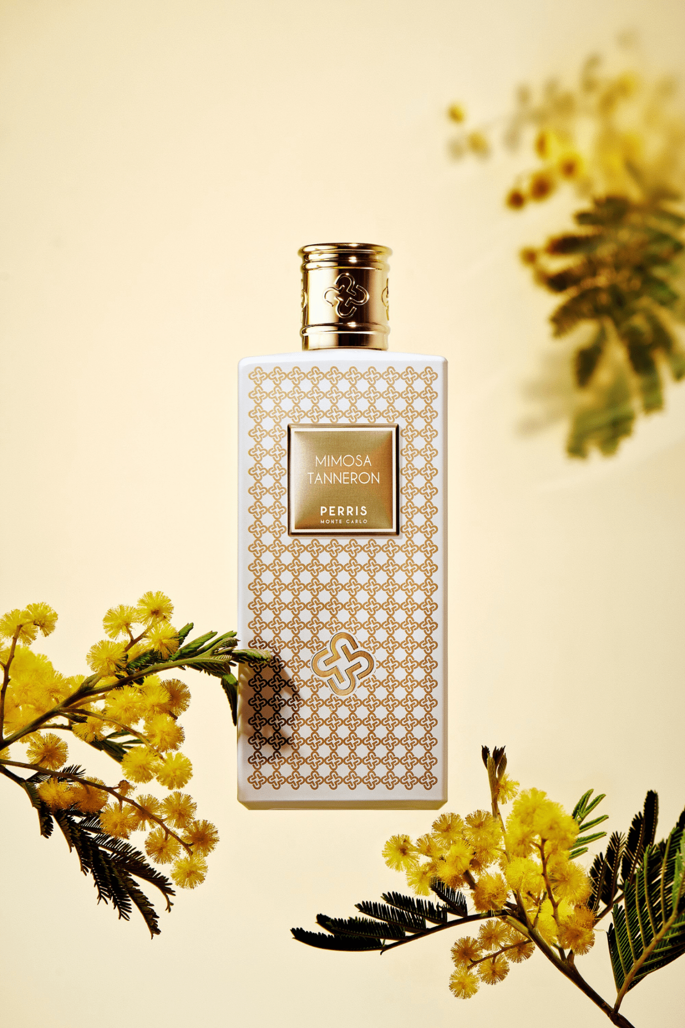 Mimosa Tanneron PERRIS MONTE CARLO - Parfumerie du Soleil d'Or