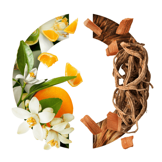 Narcisse Noir CARON - Parfumerie du Soleil d'Or