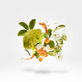 Load image into Gallery viewer, NAXOS XERJOFF - Parfumerie du Soleil d'Or