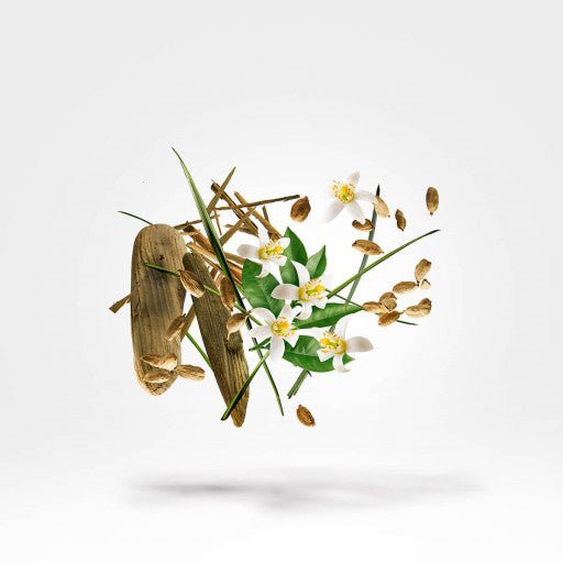 NIO XERJOFF - Parfumerie du Soleil d'Or