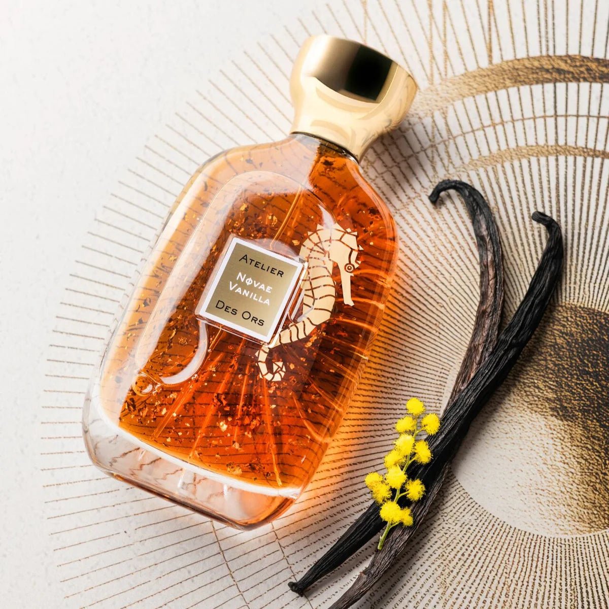Novae Vanilla ATELIER DES ORS - Parfumerie du Soleil d'Or