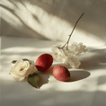 Load image into Gallery viewer, ORENCIE CHAMBRE52 - Parfumerie du Soleil d'Or