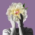 Load image into Gallery viewer, OSMANTO SHOCK NEW NOTES - Parfumerie du Soleil d'Or