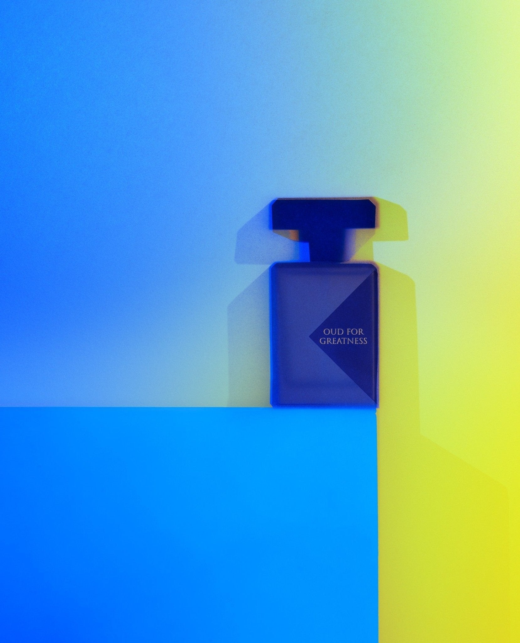 OUD FOR GREATNESS - Parfum pour cheveux INITIO - Parfumerie du Soleil d'Or