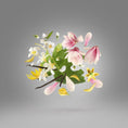 Load image into Gallery viewer, OUVERTURE XERJOFF - Parfumerie du Soleil d'Or