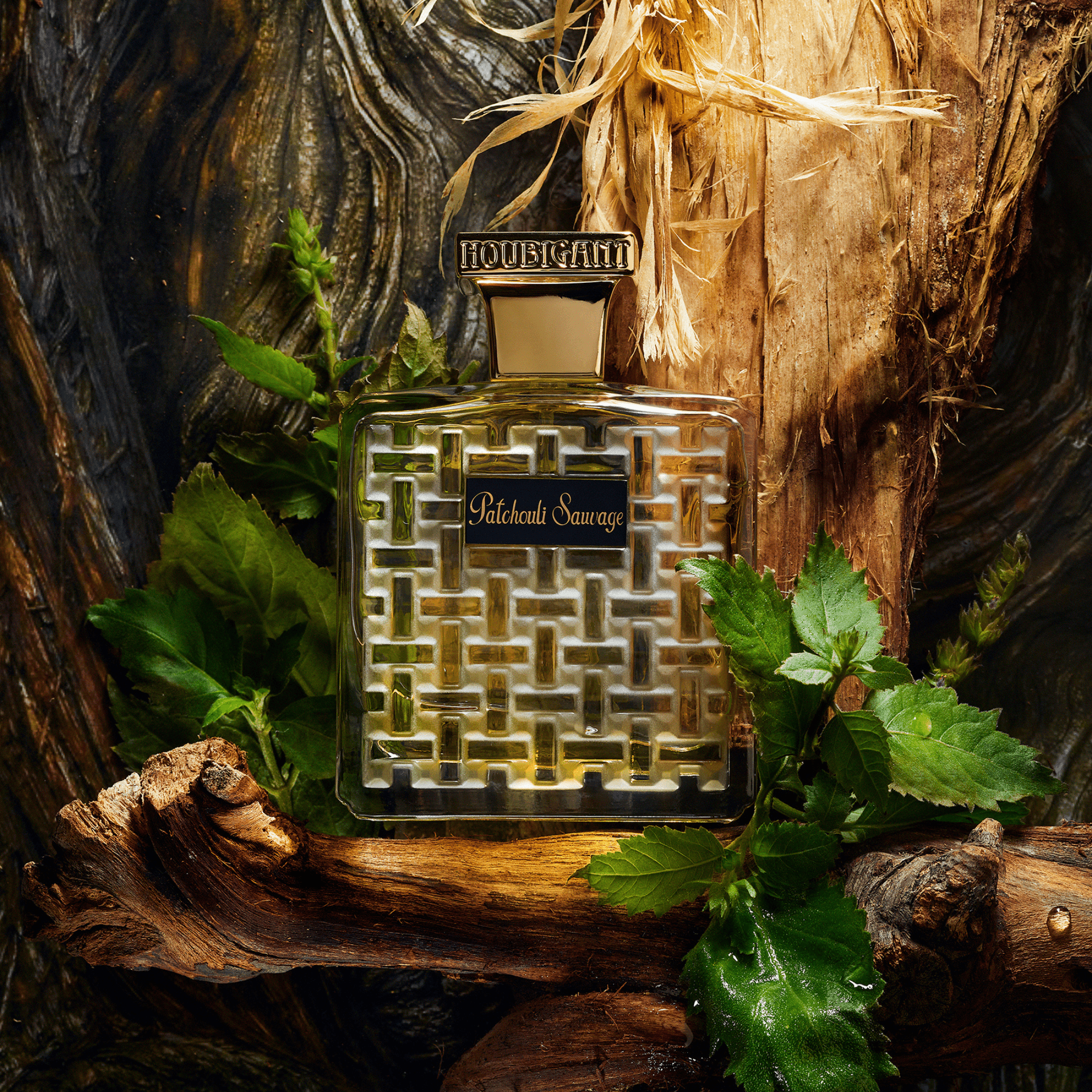 Patchouli Sauvage - Eau de Parfum HOUBIGANT - Parfumerie du Soleil d'Or