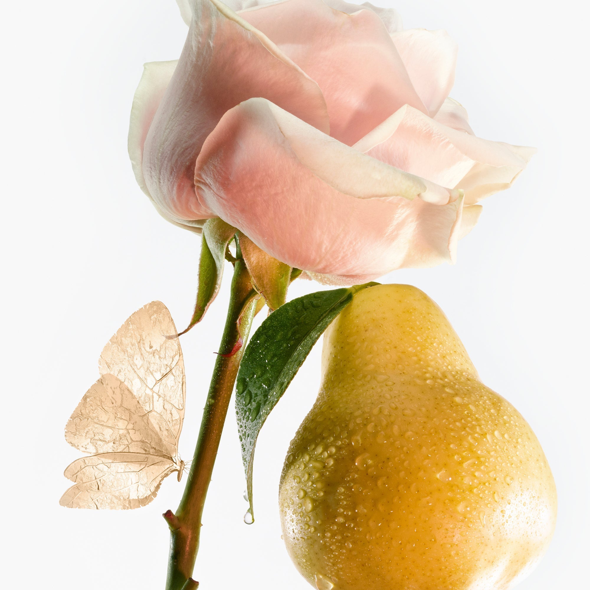 Petite Chérie - Recharge Eau de Parfum GOUTAL - Parfumerie du Soleil d'Or