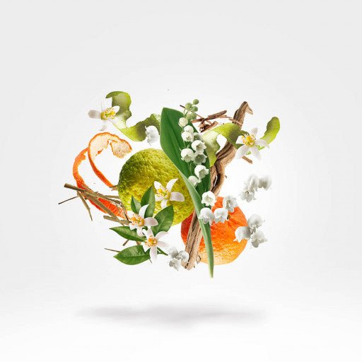RENAISSANCE XERJOFF - Parfumerie du Soleil d'Or