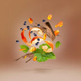 Load image into Gallery viewer, RICHWOOD XERJOFF - Parfumerie du Soleil d'Or