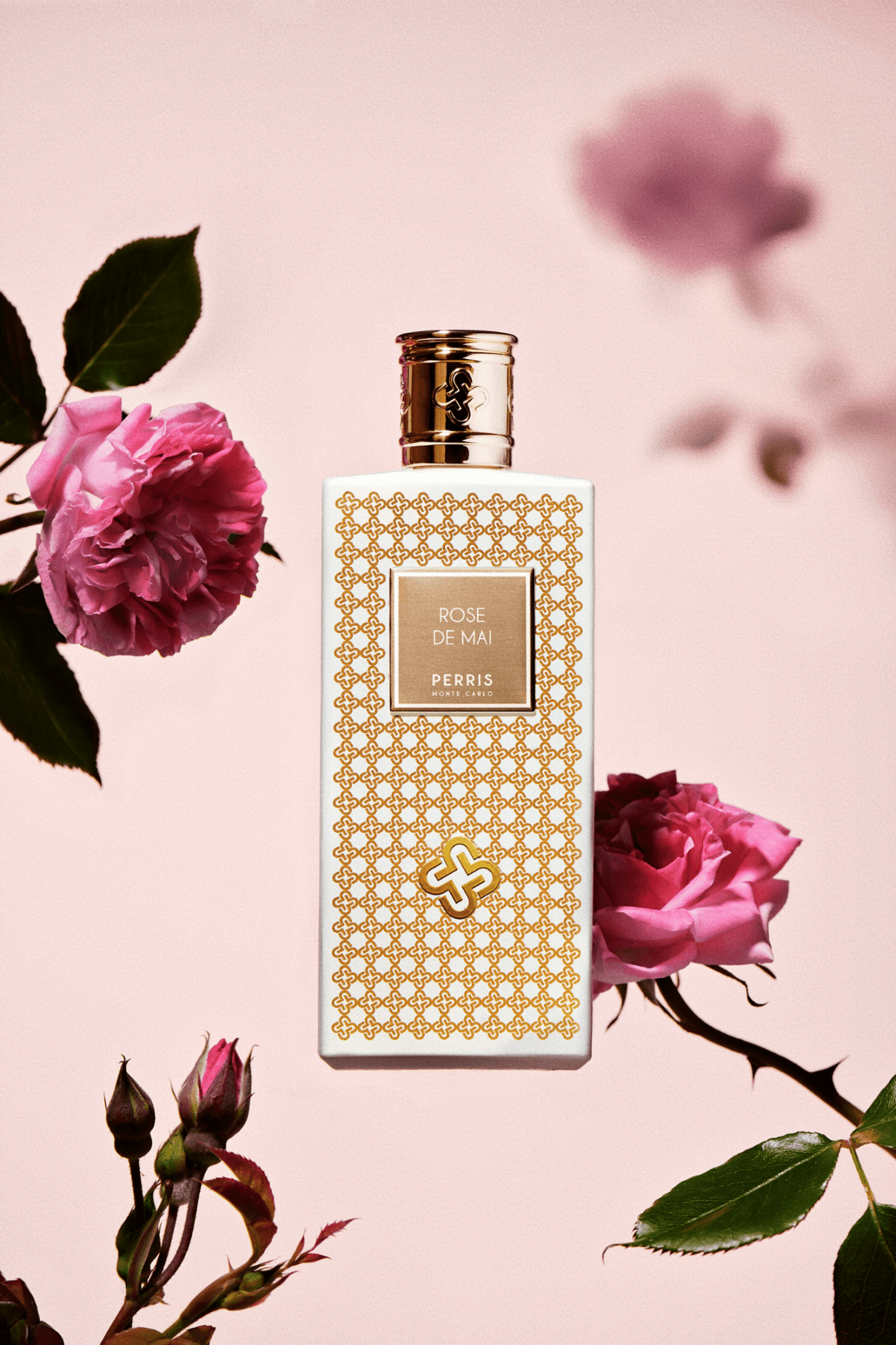Rose de Mai PERRIS MONTE CARLO - Parfumerie du Soleil d'Or
