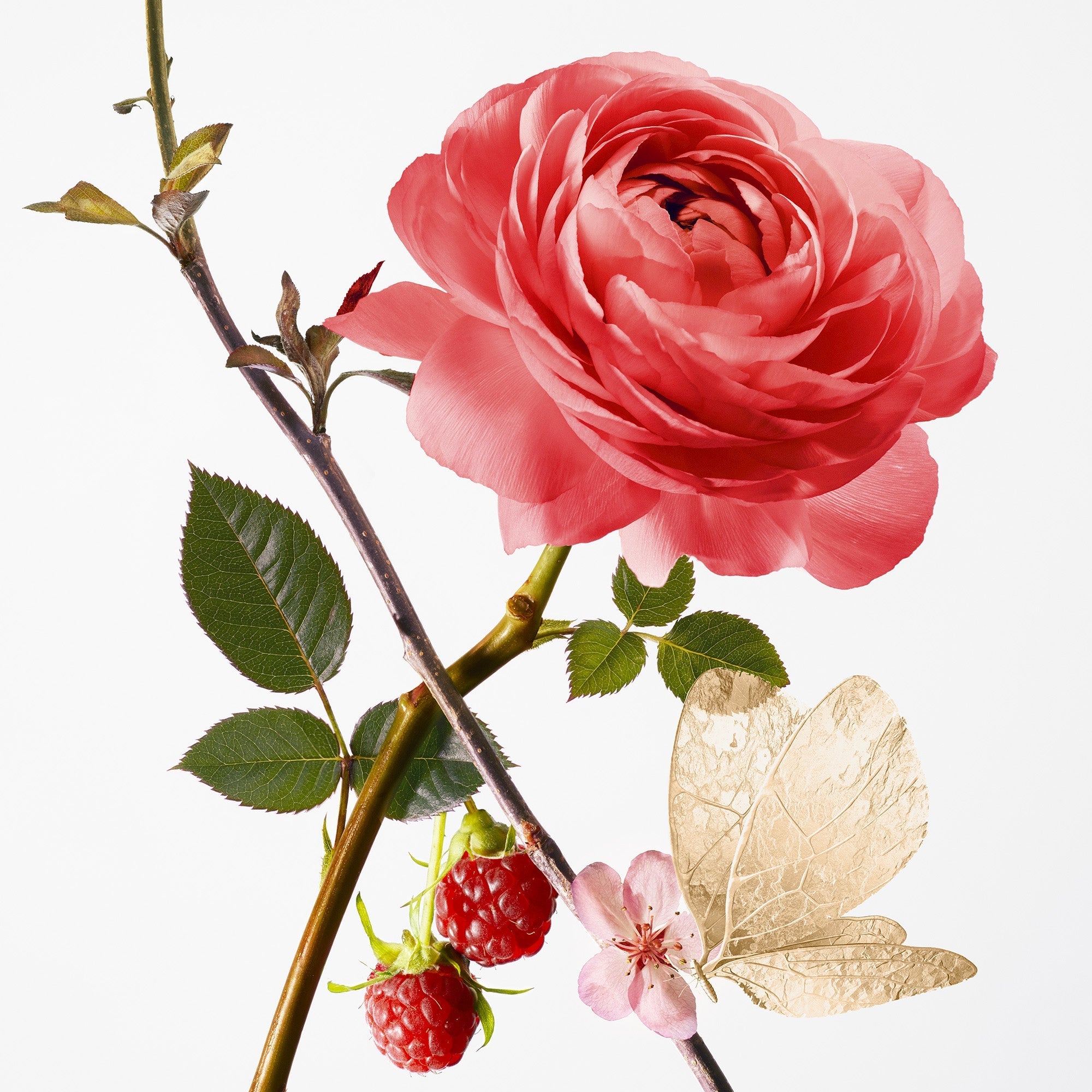 Rose Pompon - Baume mains GOUTAL - Parfumerie du Soleil d'Or