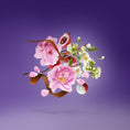 Load image into Gallery viewer, SOPRANO XERJOFF - Parfumerie du Soleil d'Or