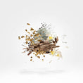 Load image into Gallery viewer, SYMPHONIUM XERJOFF - Parfumerie du Soleil d'Or